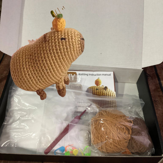 Capybara Crochet Kit Capybara Craft Kit Cute Capybara Gift