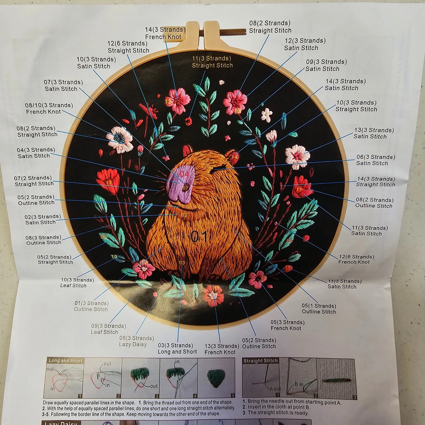 Capybara Embroidery Kit Capybara Craft Kit Capybara Gift